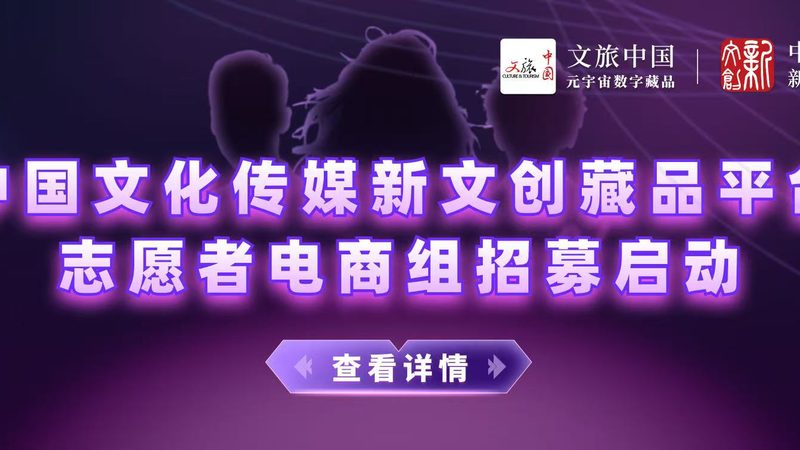 在选择直播代运营公司时，可以从以下几个方面考察其实力：