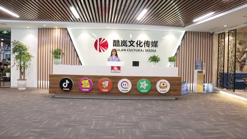 影视后期与二维动画制作：本质差异与制作流程解析
